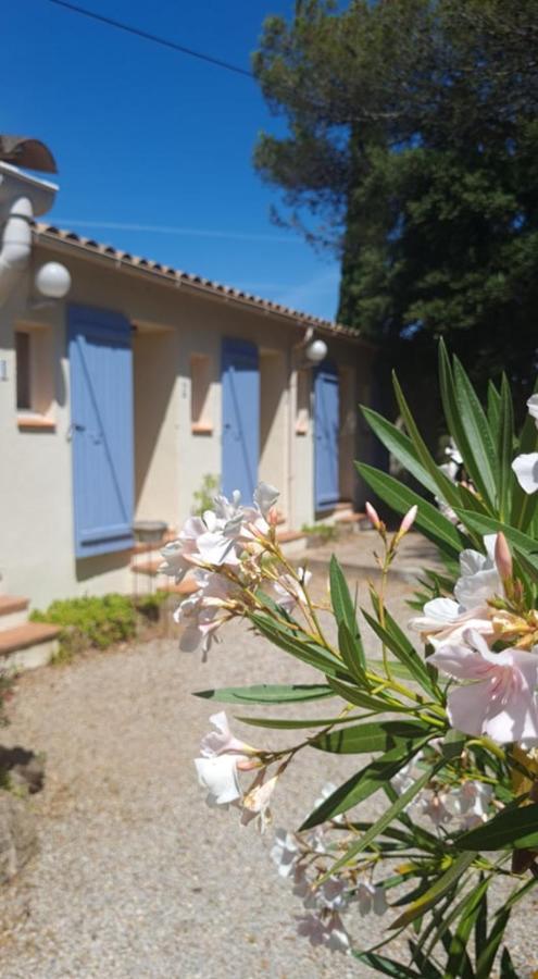 Le Relais Des Lavandins لو موي المظهر الخارجي الصورة